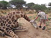 hunting-giraffe-221.JPG