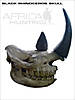 rhino-skull.jpg