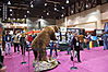 safari-club-international-convention-018.JPG