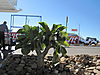 windhoek-airport-15.JPG