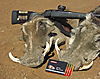 BLASER_R8_NORMA_SP_30-06.jpg