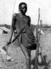 african_herder.jpg