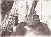 congo-gorilla-hunt.jpg