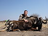 Black_Wildebeest_01_2012.JPG