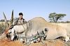 Eland_John_May_Bow_Hunter_.jpg