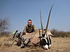 Gemsbok_02_2012.JPG