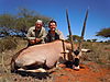 Gemsbok_11.JPG