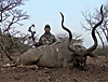 Kudu_22.JPG