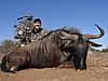 Wildebeest_3_smaller_version1.jpg