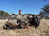 blue_wildebeest2.jpg