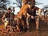 bow-hunting-africa-108.JPG