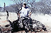 bow_hunting_greater_kudu_04.jpg