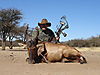 bow_hunting_red_hartebeest.jpg