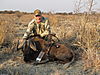 bowhunting_black_wildebeest_001.JPG