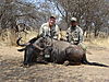 bowhunting_blue_wildebeest_004.JPG