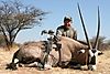 bowhunting_gemsbok_013.jpg