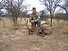 bowhunting_impala_003.jpg