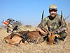 bowhunting_impala_006.JPG