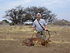 bowhunting_impala_007.JPG