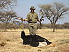 bowhunting_ostrich_001.jpg