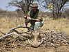 bowhunting_warthog_013.jpg