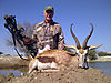 chet-traylor-common-springbok-2013-safari.jpg