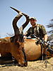 hartebeest-hunt1.jpg