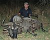 hunting-wildebeest6.JPG