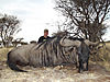 jamey-blue-wildebeest.jpg