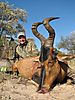 red_hartebeest11.jpg