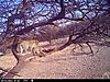 HUNT0048.JPG