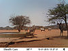 trail-cam-africa-01.JPG