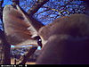 trailcamera-013.JPG