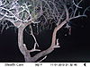 trailcamera-015.JPG