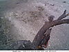 trailcamera-038.JPG