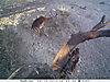 trailcamera-047.JPG