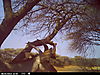 trailcamera-071.JPG