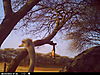 trailcamera-073.JPG