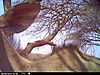 trailcamera-076.JPG