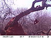 trailcamera-093.JPG