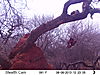 trailcamera-094.JPG