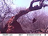 trailcamera-095.JPG