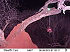 trailcamera-096.JPG