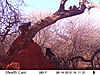 trailcamera-098.JPG