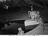 trailcamera-104.JPG