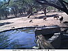 trailcamera-135.JPG