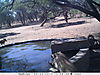 trailcamera-136.JPG