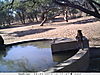 trailcamera-149.JPG