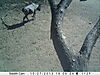 trailcamera-177.JPG