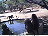 trailcamera-222.JPG